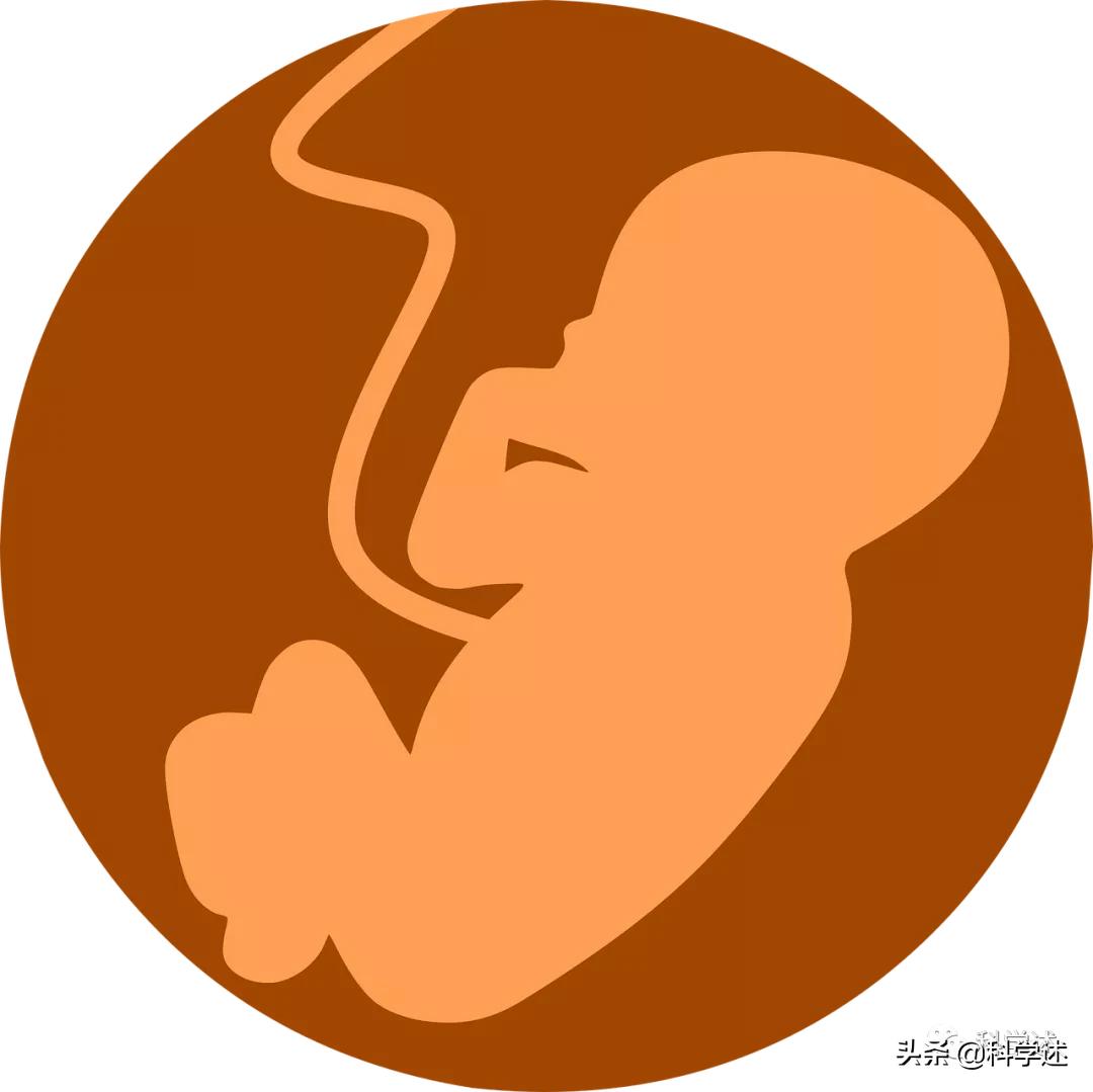 孕妇分娩时喝红牛还是脉动,生孩子时喝红牛是否有助于顺产