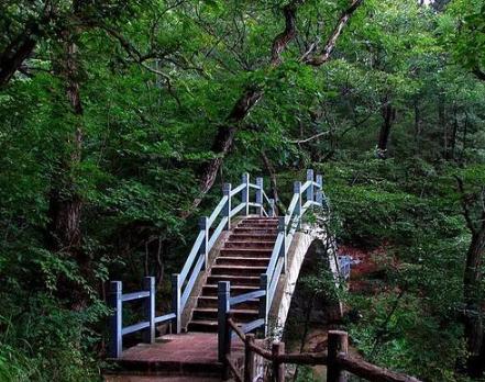 南阳有山有水有景区,南阳市区内有哪些风景旅游区