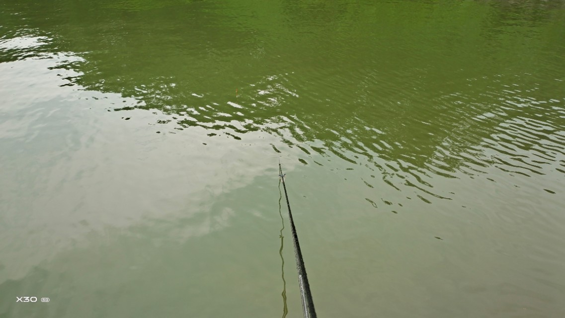 冬天钓鱼闹窝怎么解决,钓鱼躲避闹窝技巧