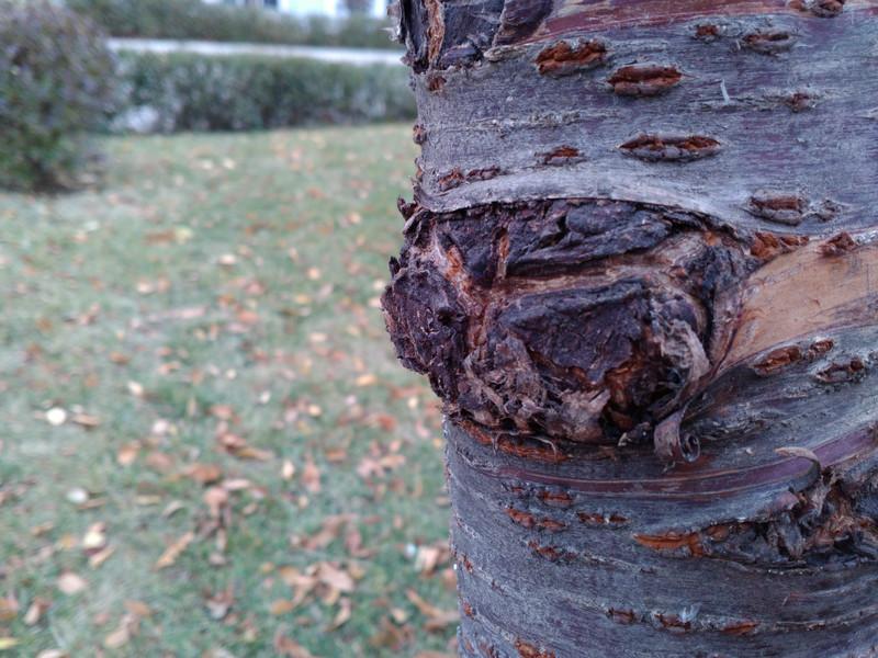 联想乐檬k32c36手机测评,联想乐檬K3测评