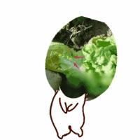 白菜种叶发黄的治疗方法,白菜枯死怎么治