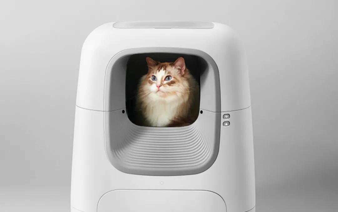 猫咪必备10大神器,猫咪必备神器排行