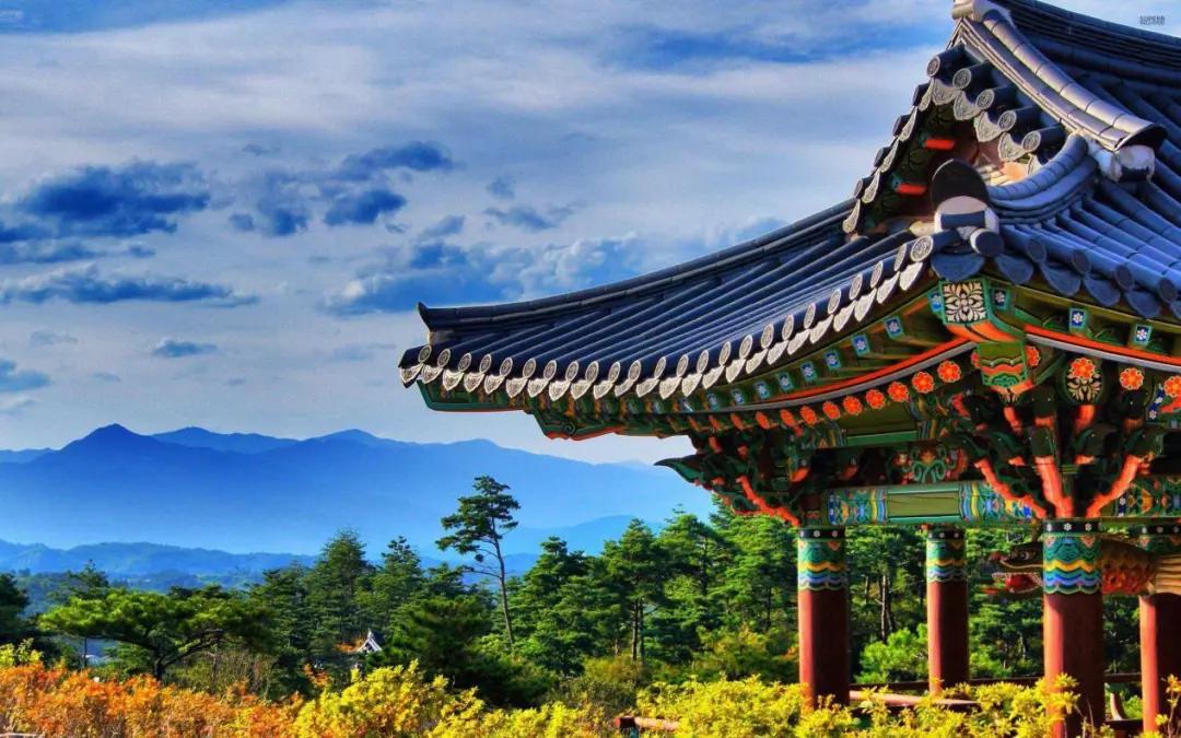 韩国超强打卡美食推荐,韩国必打卡的网红