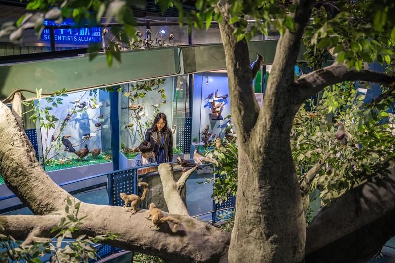 厦门冬春攻略,夏天厦门旅游攻略美食篇