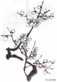 国画梅花画法视频,徐湛梅花画法教程