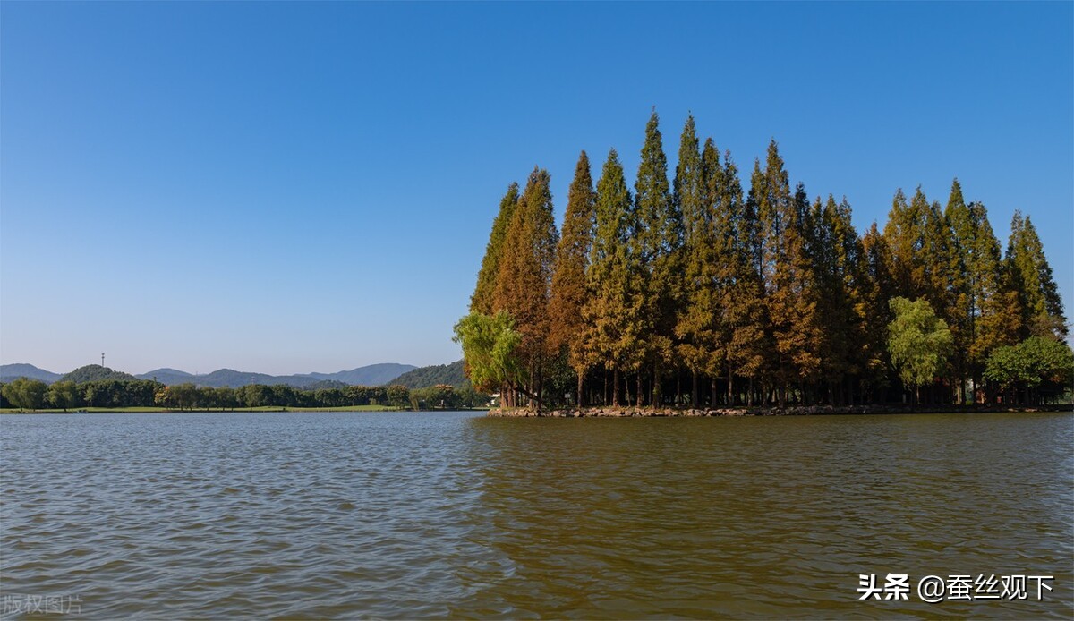 绍兴为何地灵人杰文人辈出,绍兴市一个人杰地灵的地方