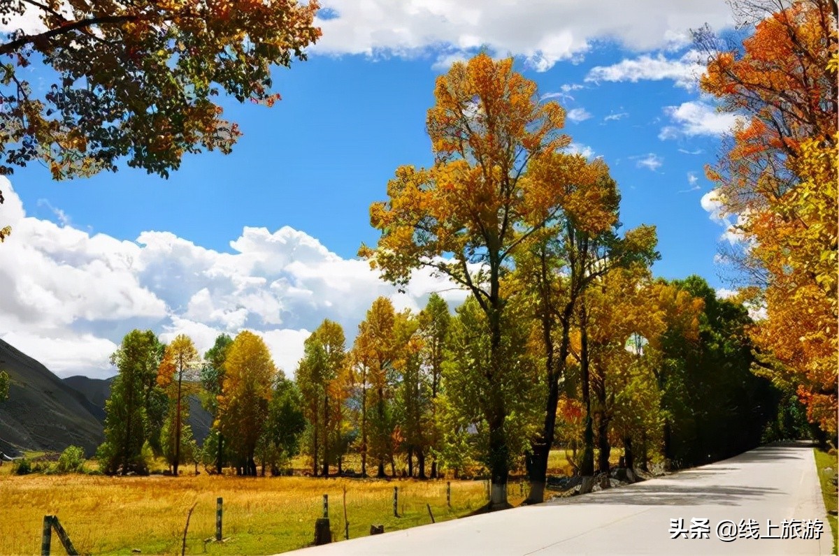 四川省内五一冷门车少路线,四川五一雅安冷门自驾游