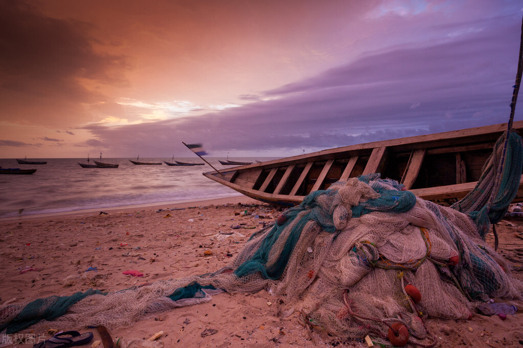 2019年埃博拉病毒致死,埃博拉病毒最短死亡时间