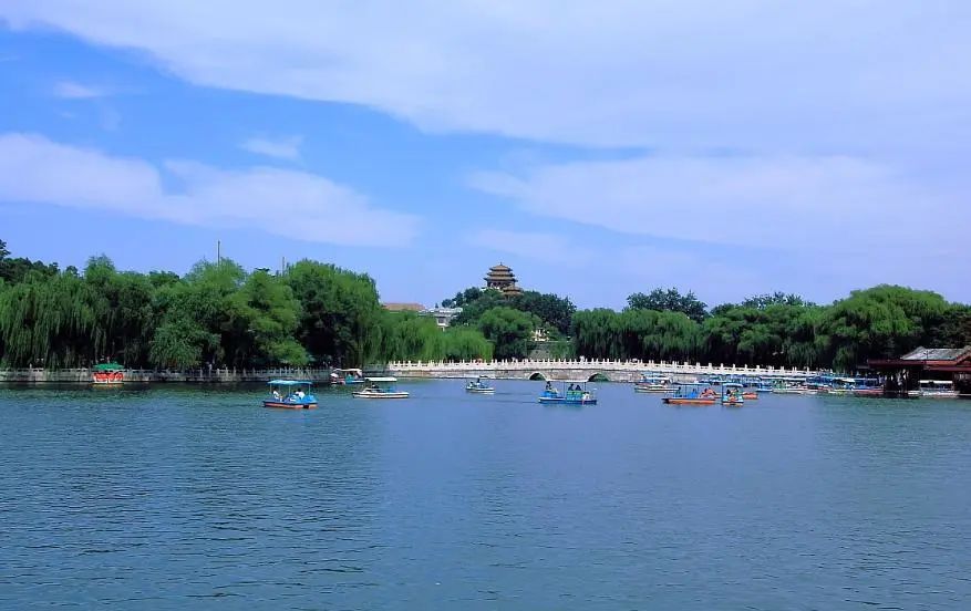 鑲＄エ閭エ,鑲＄エ涓轰粈涔堣鏈夐偖绁ㄥ憿