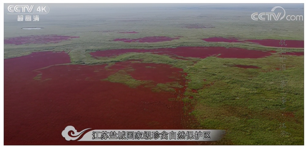 乡土地理河南,乡土地理资料