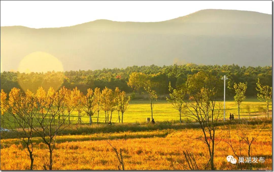 巢湖市半汤,半汤怎么做
