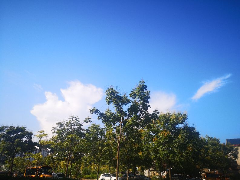 哑女喜欢一个人的表现,哑女对爱情的执着