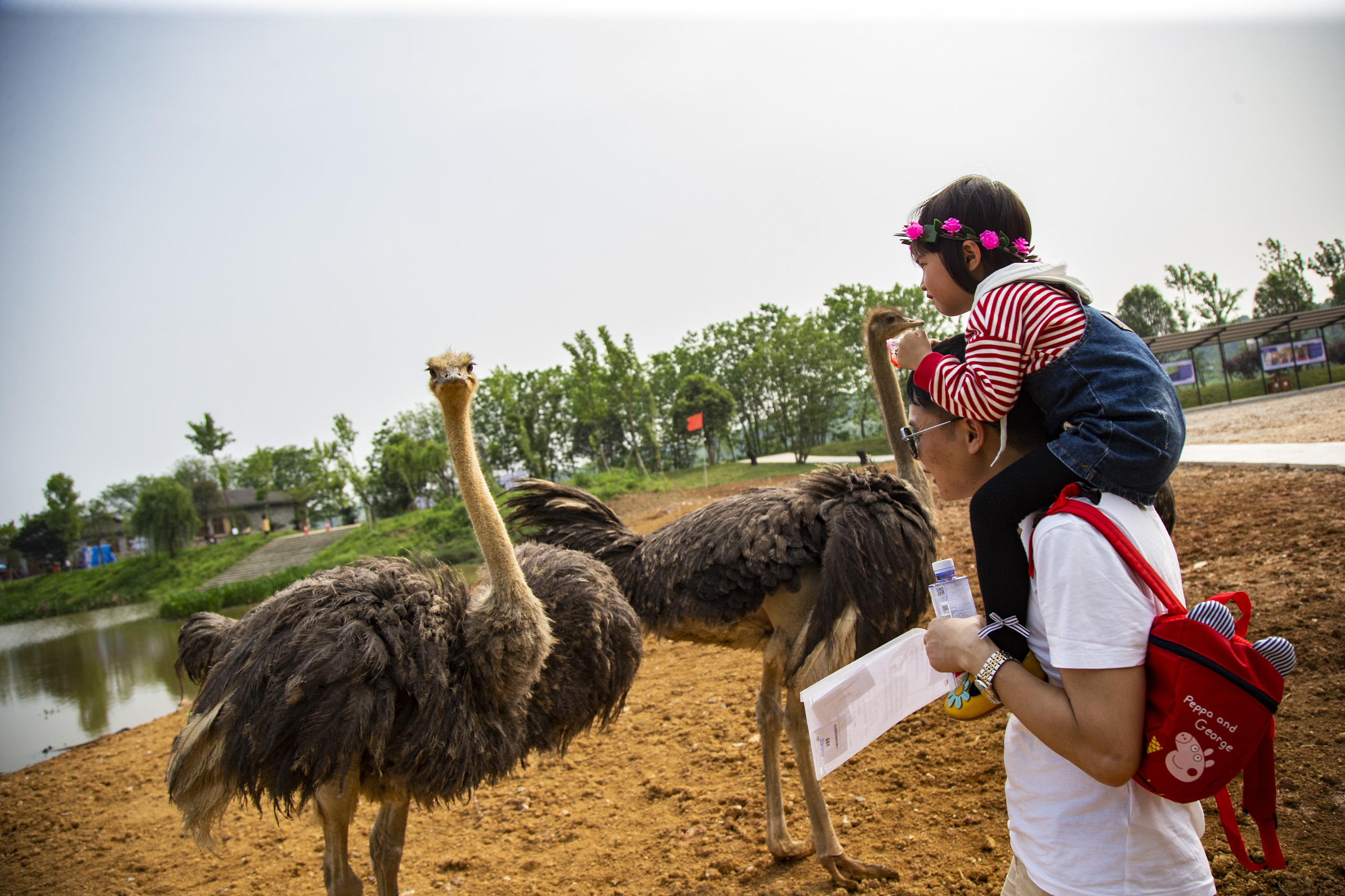长沙洋沙湖湿地公园,湘阴洋沙湖五一活动