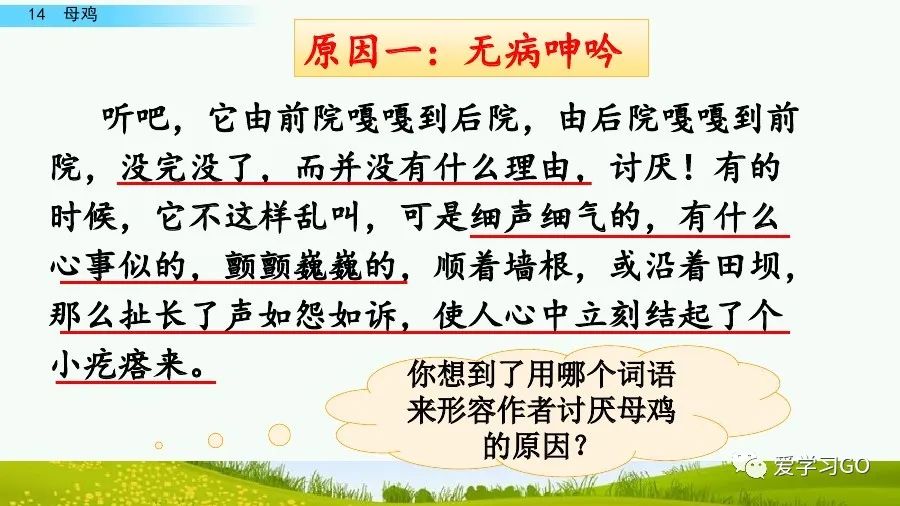 四年级下册语文母鸡课文重点讲解,四年级下册语文14课母鸡重点知识