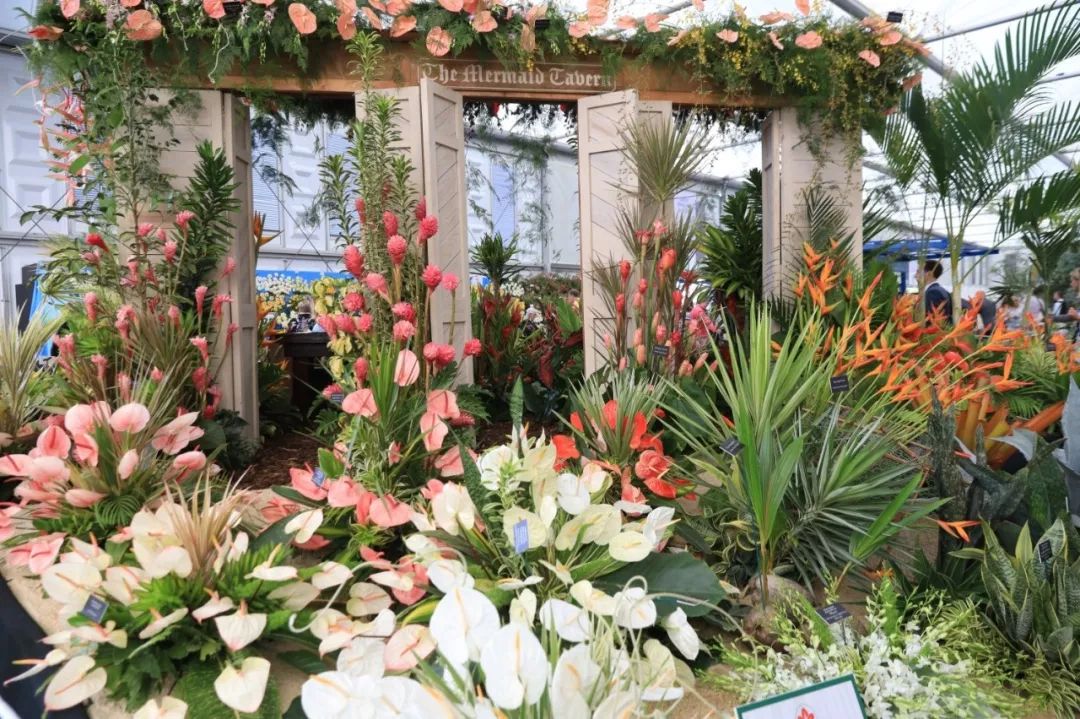 HAZZYS花漾VIP畅享英伦，环游大不列颠