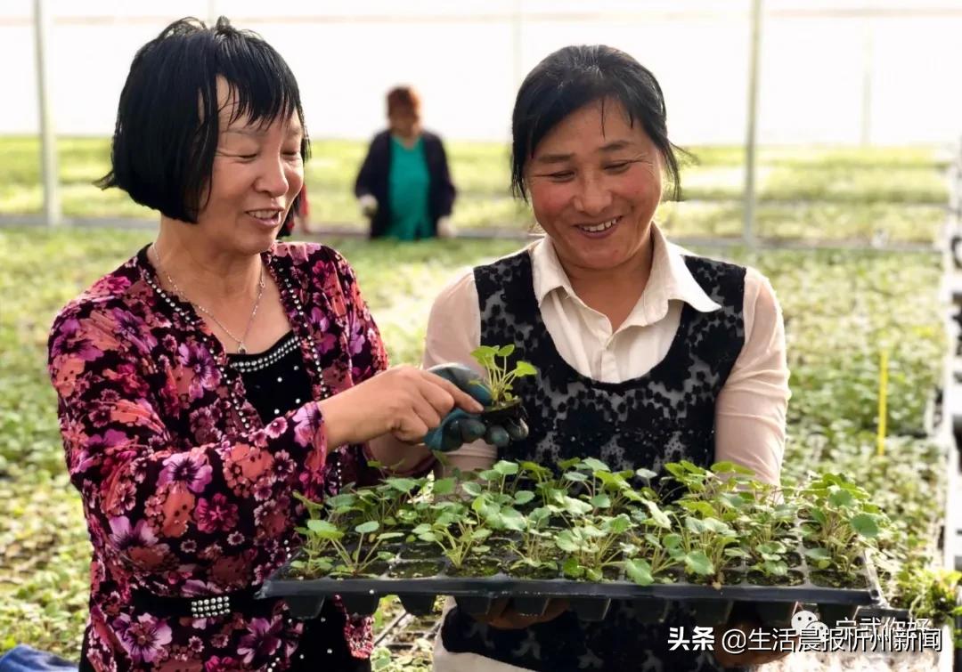 我的家乡在忻州歌曲,我的家乡宁武朗诵