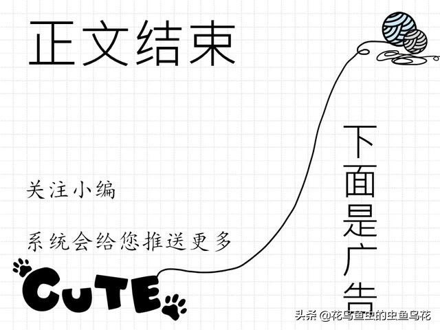 鱼缸里常见的藻类有哪些,鱼缸中藻类有哪些