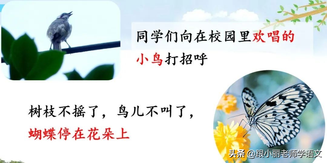 大青树下的小学重点知识点,大青树下的小学重点知识梳理