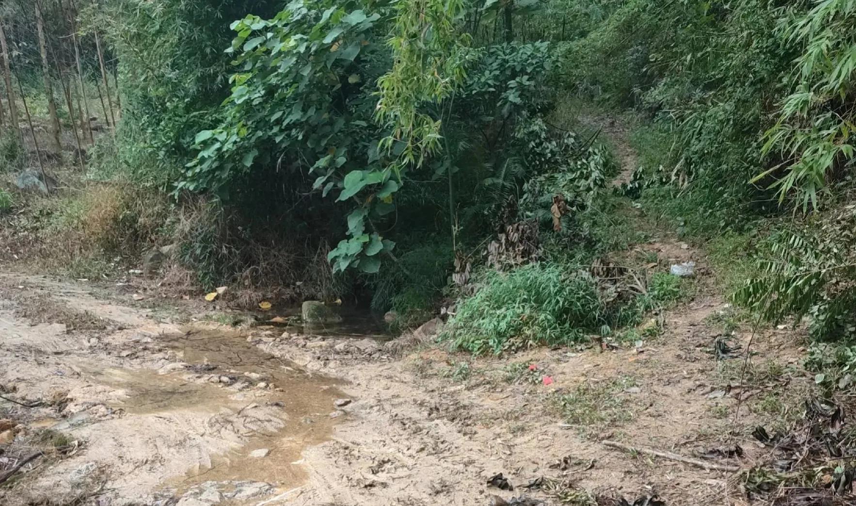 独行大云雾山——劫后余生，还有什么可惧