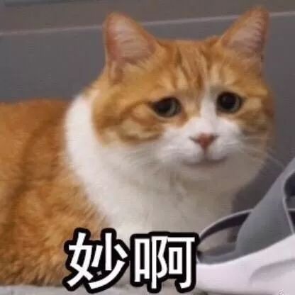 偷电动车女贼在晋城被捉,女子偷走电动车被警察抓