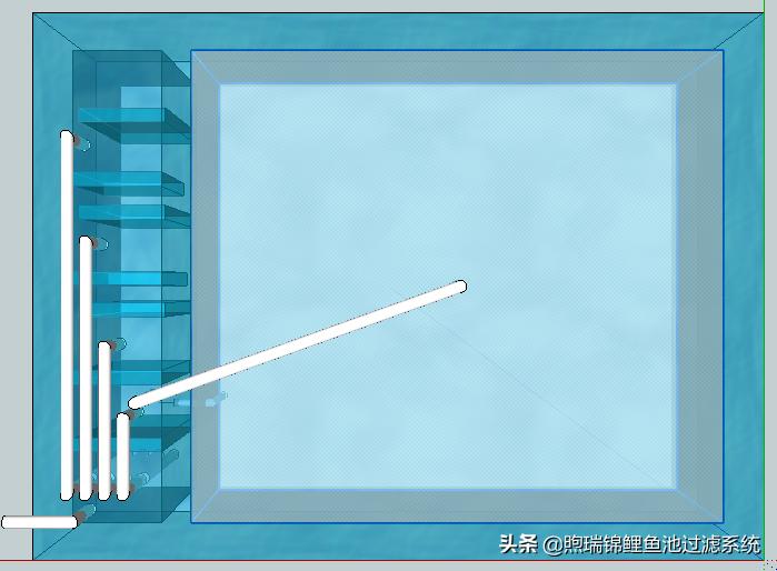 锦鲤露天鱼池生态沼泽过滤系统,锦鲤鱼池过滤系统多长时间清洗