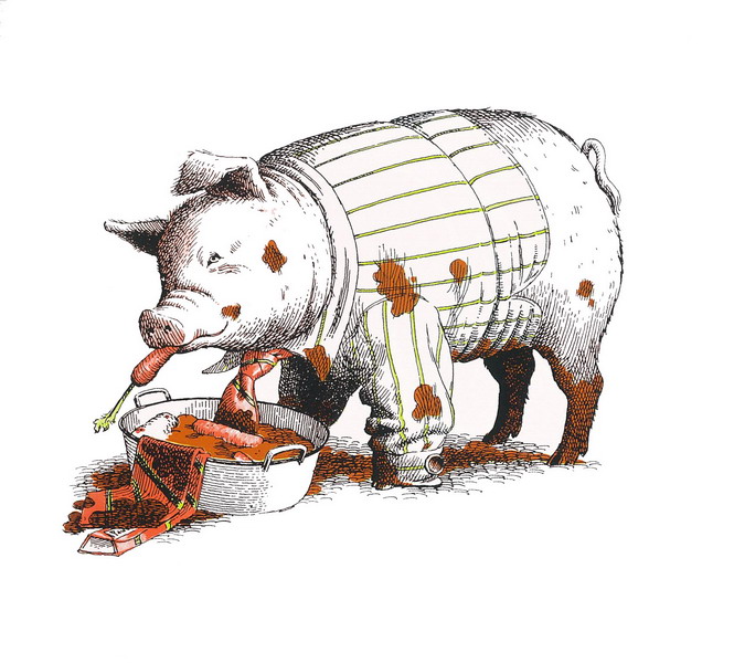 有意思的儿童绘本推荐书单,很有趣的小孩书