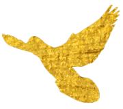 人民医院大礼包,人民医院最新待遇