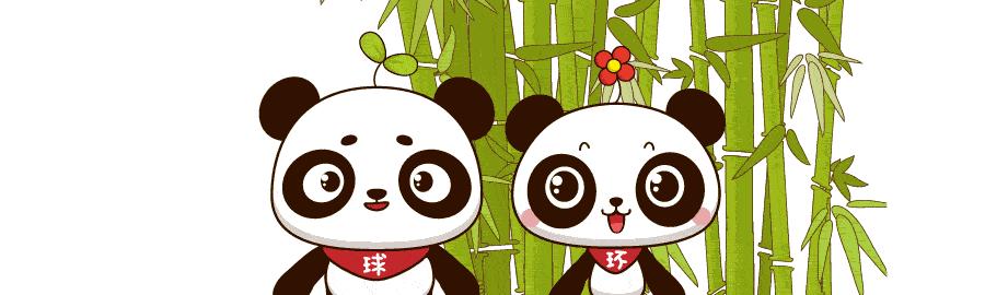被熊堵了怎么办？咬它舌头