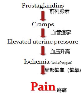 女票来姨妈了我该说什么,女生姨妈痛怎么和男朋友说