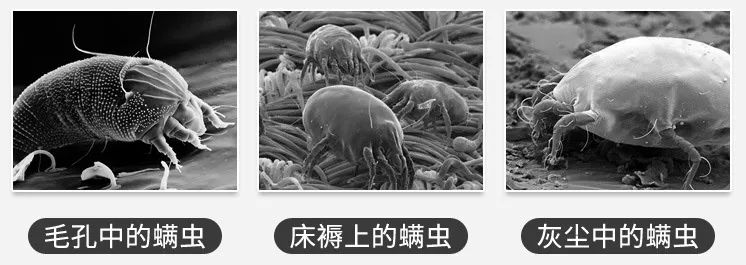 羊奶手工皂美白保湿洁面皂,肌肤之食海盐羊奶皂