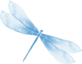 柳絮过敏宝宝老是揉眼睛怎么办,柳絮引起的皮肤过敏怎么缓解