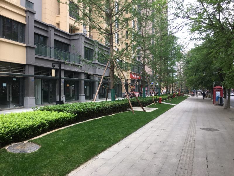 成都老城区老街区,成都将打造哪20条特色街区