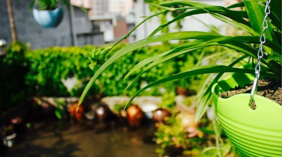 如何避免甲醛误区,甲醛最怕什么小妙招