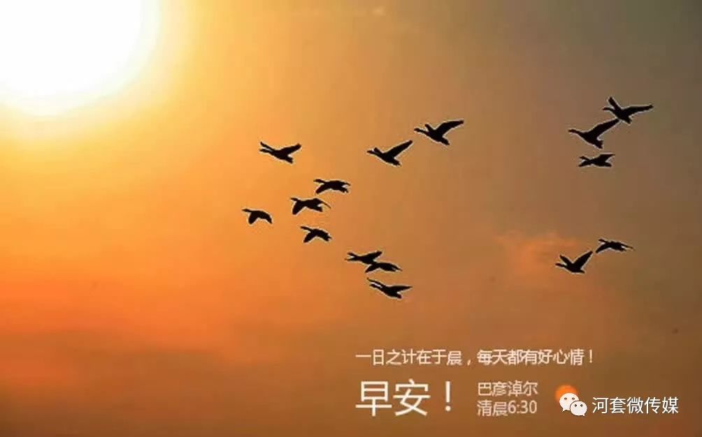 鸿雁知天下最新新闻,新闻早知道鸿雁知天下