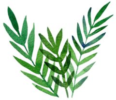 吃糖多的危害科普,吃糖成瘾是什么原因