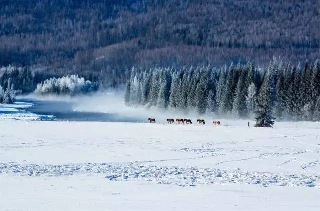 杭州特价机票购买攻略,杭州机票优惠团购