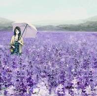 女人戴蜜蜡的禁忌,为什么戴蜜蜡的女人不能碰