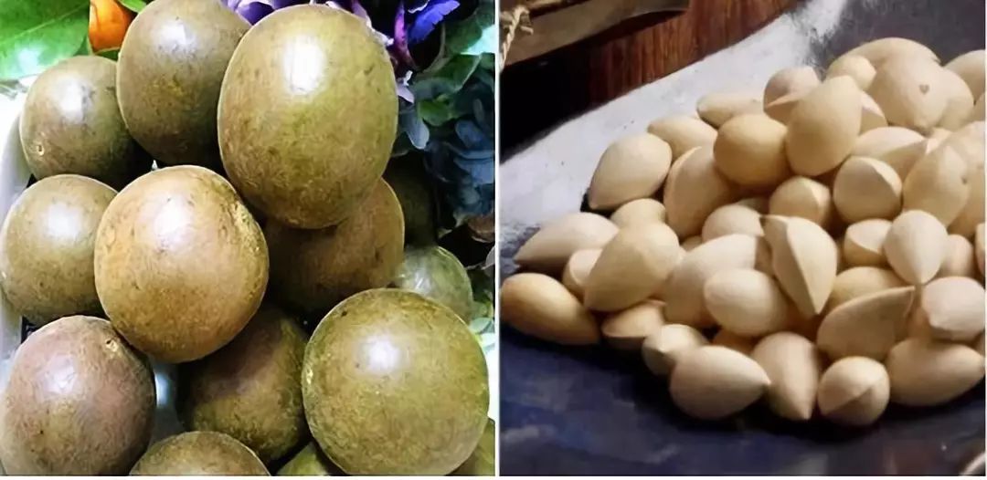 止咳祛痰最快的小妙招咽炎,喉咙止咳化痰神器