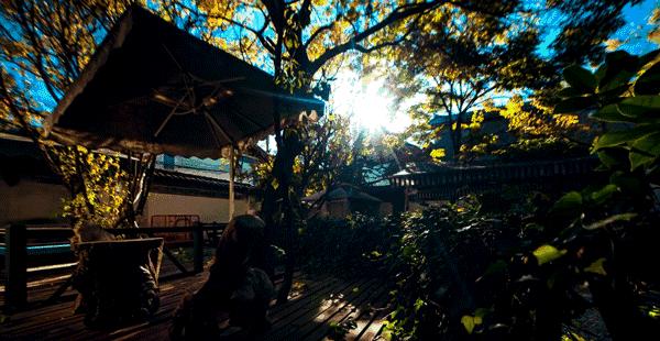 陕西与世隔绝的温泉民宿,西安附近最美的山间民宿