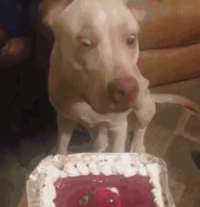 学生党哭晕了,学生党上学哭了