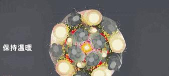 像枫哥一样“扎实”，轻松度过这个寒冷冬天