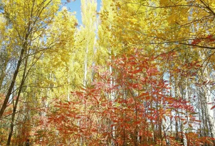 干净又气质的40款美甲简约,美哭的美甲