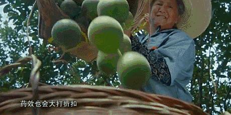 清肺神器,清肺散结神器