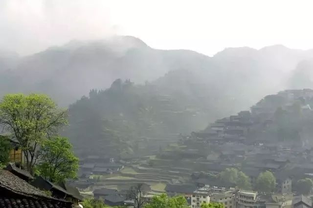 纳桑红糖双十一,纳桑新款