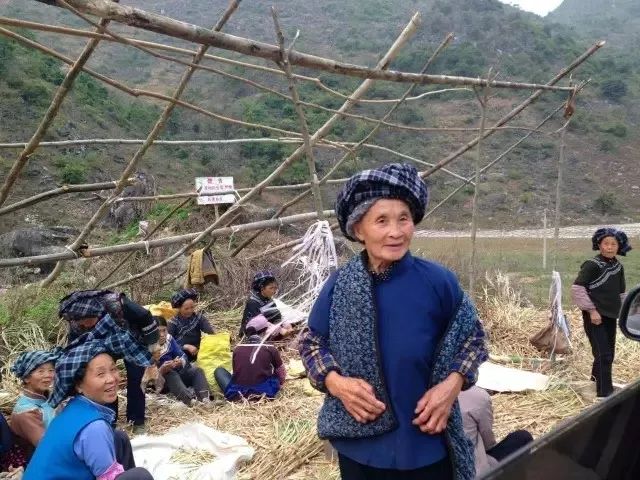 纳桑红糖双十一,纳桑新款