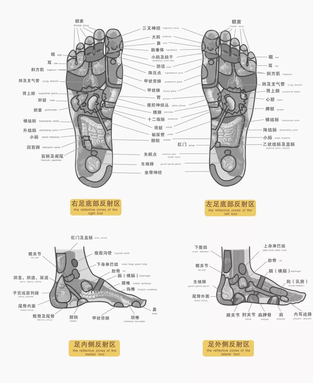 秋冬用什么泡脚对皮肤好,秋冬泡泡脚全身轻松