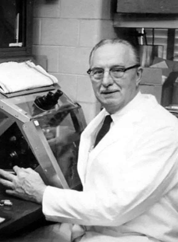 癌症死亡后身体的细胞,死于癌症后细胞永生