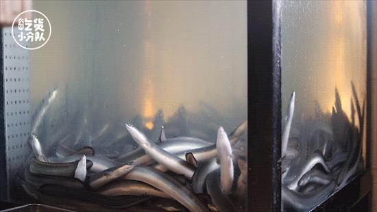 限制级鳗鱼饭，不敢看可跳过