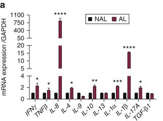 打一针治痘痘！科学家使用免疫疗法开发*疮痤**疫苗，有望战痘成功｜科学大发现