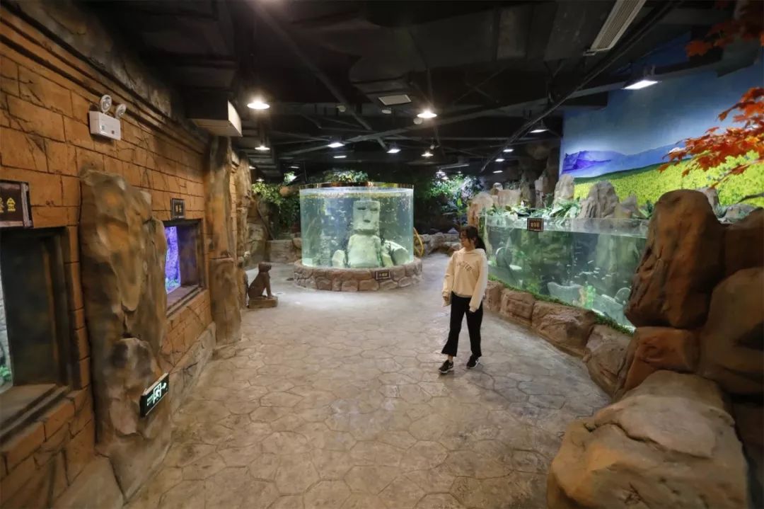 听见江宁｜江宁开发区新型研发机构摆摊“吆喝”创新产品！